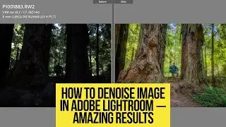 How to Denoise an Image in Adobe Lightroom - Amazing Results