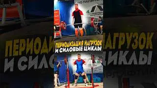 Силовые циклы и периодизация нагрузок #пауэрлифтинг #тяжёлаяатлетика #периодизация #циклы
