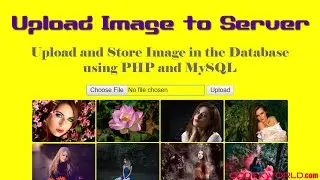 Upload and Store Image File in Database using PHP and MySQL