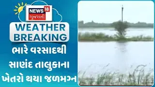 Ahmedabad News: ભારે વરસાદથી સાણંદ તાલુકાના ખેતરો થયા જળમગ્ન | Monsoon | Rain | Farme | News18