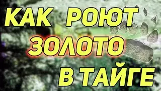 ✔️ КАК РОЮТ ЗОЛОТО В ТАЙГЕ. О ВАРВАРСКОМ ПРОМЫСЛЕ ЗОЛОТА