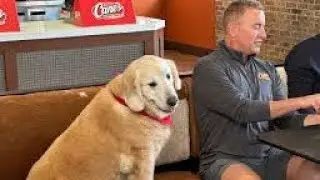 Kirk Herbstreit Shares Heartwarming Health Update on Dog Ben!