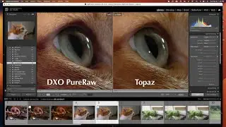 DeNoiser comparison: DXO PureRaw2 / Topaz DeNoiser