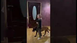 Тренировка Златы и Армы . И да ! Я за культуру владения оружием с детства