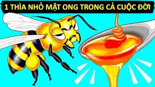 Cách Thức Và Lí Do Ong Làm Mật (Cùng Các Sự Thật Khác Về Ong Mà Bạn Vẫn Thắc Mắc)