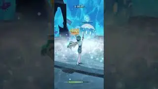 Make Sure You're In The Circle Genshin Impact 