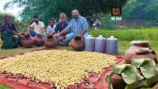 25 ദിവസം മണ്ണിനടിയിൽ | Underground Garlic Honey | தேன் பூண்டு | Garlic Honey Making in Tamil Nadu