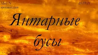 Янтарные бусы. Портфолио кота.