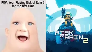 New Risk of Rain 2 players be like...