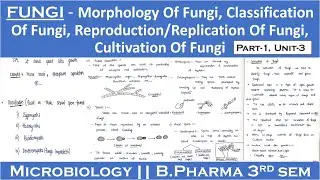 Fungi | Morphology of fungi | Classification of fungi | Reproduction of fungi | Cultivation of fungi