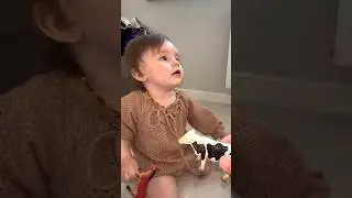 Стеша в мире животных🤣 