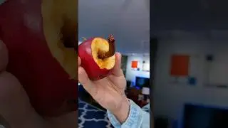 WORMS IN APPLES! 