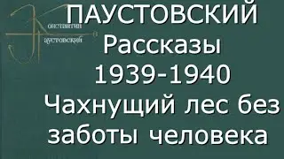 Константин Паустовский - Рассказы 1939-40 - Критика