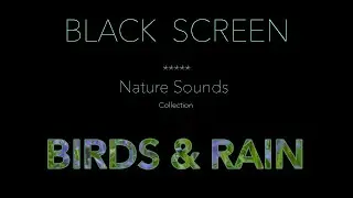 Relaxing Nature Sounds-Birdsong & Rain Sounds for Sleeping Black Screen - Calming Water Ambience