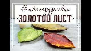 Листья 15 мин