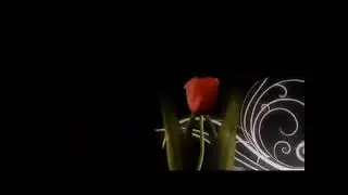 ИШКИ ПОК КИСМИ 11 / ISHQI POK QISMI 11 FULL HD...