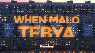 PLENKA × SEREBRO — WHEN MALO TEBYA [MASHUP]