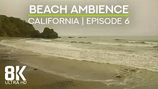 Beach Soundscape of the Pacific Ocean - 8K Scenic View to Enderts Beach, California - Episode 6