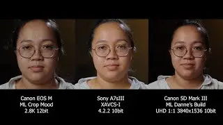 SONY A7Siii vs MAGIC LANTERN (Crop Mood and Dannes Build)