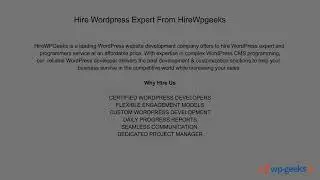 hirewpgeeks best html to wordpress company