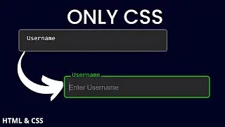 Fancy Input Animation Using Only HTML & CSS | CSS Tutorial