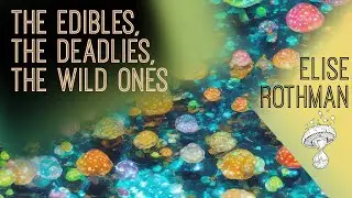 Identifying Edible, Deadly & Psychoactive Fungi | Elise Rothman