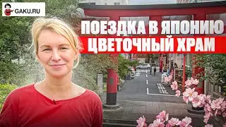 Летние каникулы в Японии