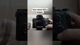 Что такое ISO в видео и какое оно бывает