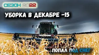 Уборка кукурузы в декабре. Очень тяжелый сезон 2022