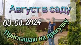 Обзор сада! Сад наполнен великолепием ярких красок