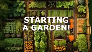 Gardening Masterclass: Complete Guide to Start a Garden