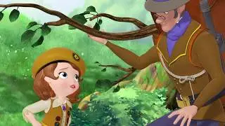 Sofia the First - The Buttercups