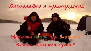 Подлещик на безнасадку с прикормкой! Или надо было на мотыля?