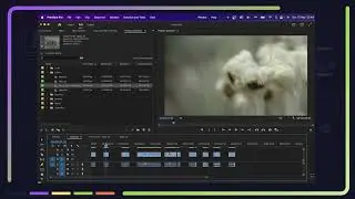 3 Hacks de Adobe Premiere para organizar tu proyecto | Platzi Creators