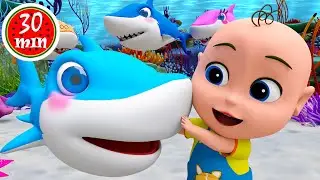 Family Shark Song! Doctor Family Shark Song | KiKy Kids Songs & Nursery Rhymes