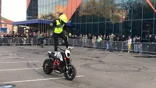 Выставка 
