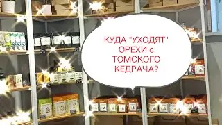 ПОЛЕЗНОЕ и ВКУСНОЕ место в Томске!