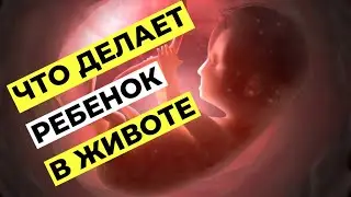 ЧТО ДЕЛАЕТ РЕБЁНОК В ЖИВОТЕ: Смеется, Плачет, Дышит, Икает