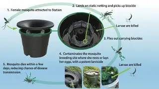 Reclaim Your Yard: Mosquito-Free Living with In2Care Mosquito Stations