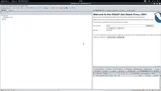 Overview of OWASP ZAP scanner and proxy tool