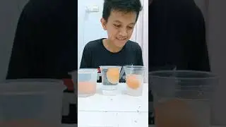 "HUKUM ARCHIMEDES."