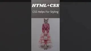 Difference between HTML and CSS | HTML and CSS important for web design