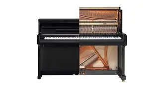 Acoustic vs Digital Pianos: Which Is Right for You?