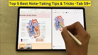 Top 5 Best Note-Taking Tips & Tricks for Samsung Galaxy Tab S9+ Plus