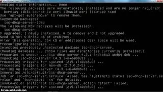 DHCP+PPTP