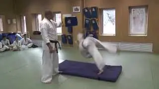 Do Mawashi Kaiten Geri - отработка удара в прыжке с переворотом