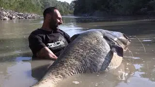 Catfish Hunter: The King of the River by Yuri Grisendi