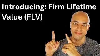 Introducing Firm Lifetime Value: The Ultimate Metric