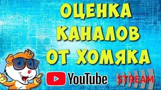 Оценка Ваших Ютуб Каналов от #ХомякКомпьютерный 14.05.22  - Стрим