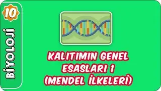 Kalıtımın Genel Esasları 1 (Mendel İlkeleri) | 10. Sınıf Biyoloji